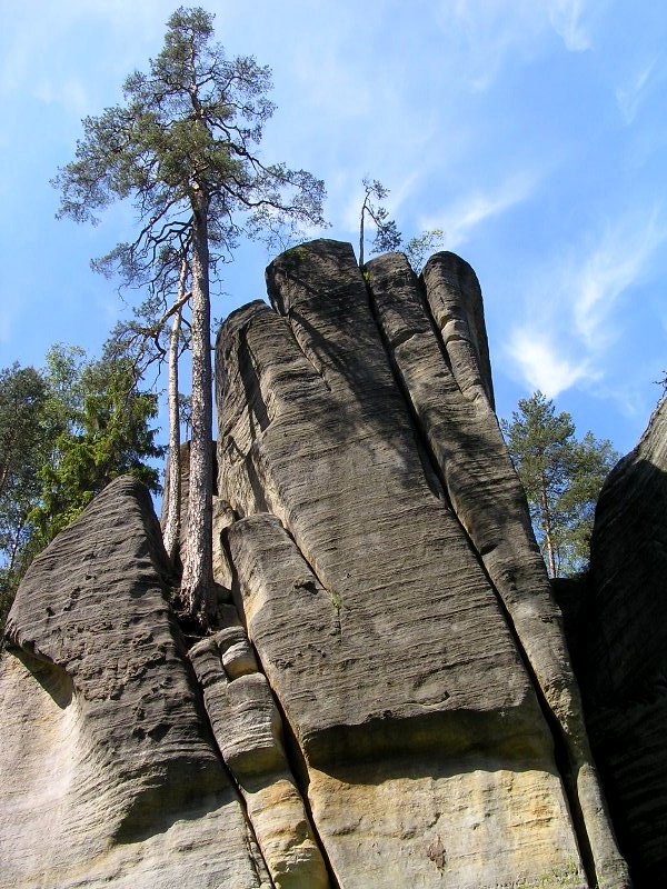 07.jpg